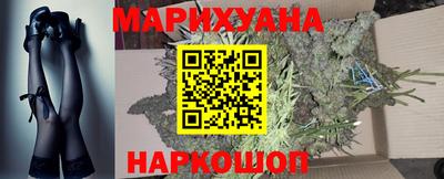 прущие грибы Обнинск