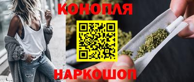 прущие грибы Обнинск