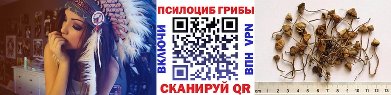 дарнет шоп  Серпухов  hydra tor  Псилоцибиновые грибы GOLDEN TEACHER 